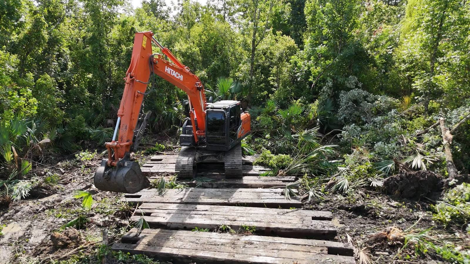 Excavator clearing land on wooden mats through dense wooded, swampy South Louisiana terrain